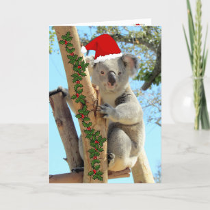 Koala Christmas Card