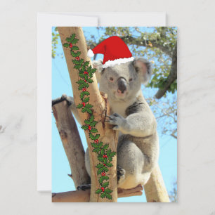 Koala Christmas Flat Card