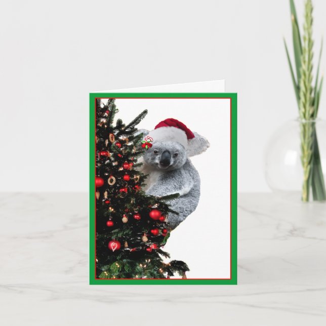 Koala Christmas Holiday Card (Front)