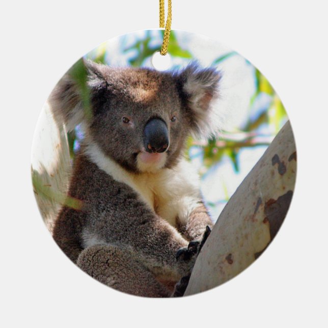 Koala Christmas Ornament (Front)