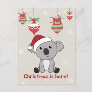 Koala Christmas Snow Winter Animals Koalas Holiday Postcard