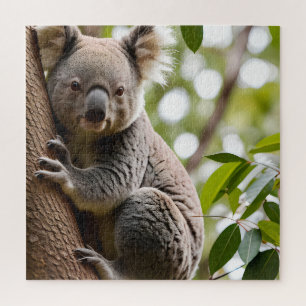 Koala Climbing a Tree Jigsaw Puzzle