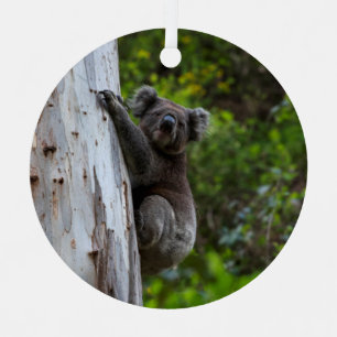 Koala Climbing Tree Australia Christmas Metal Tree Decoration