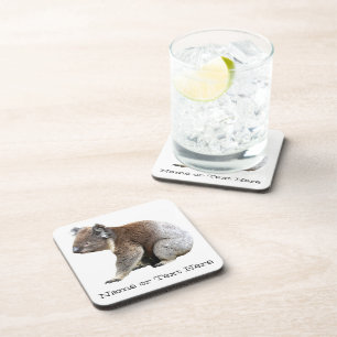 Koala Coaster