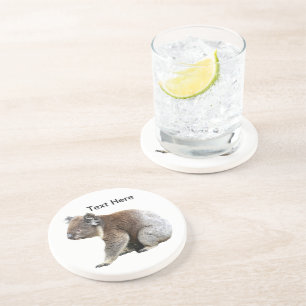 Koala Coaster