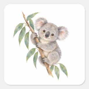Koala Cub Hugging a Eucalyptus Branch Square Sticker