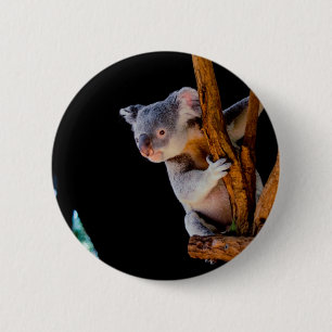 Koala Cute in Tree Gray 6 Cm Round Badge