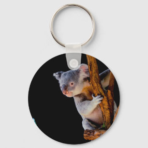 Koala Cute in Tree Gray Key Ring