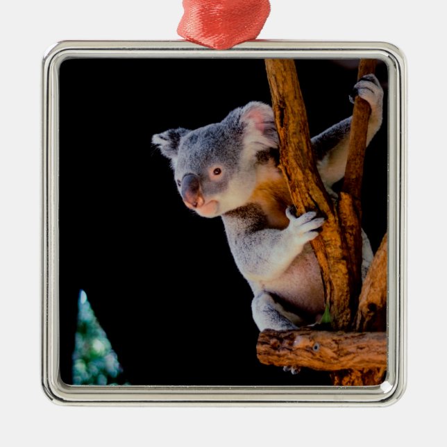 Koala Cute in Tree Gray Metal Ornament (Front)