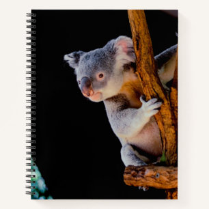 Koala Cute in Tree Grey Notebook