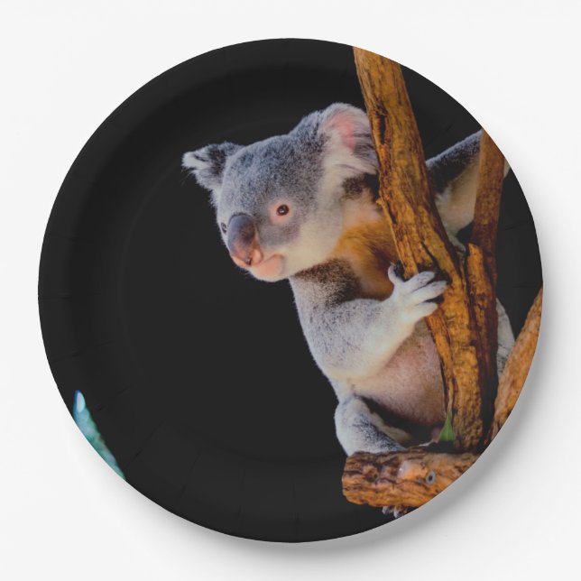 Koala Cute in Tree Grey Paper Plate (Front)