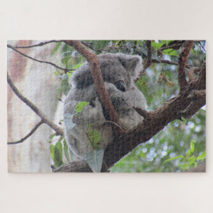 koala cuteness jigsaw puzzle