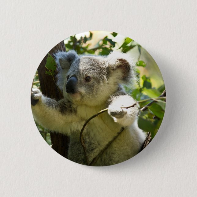 Koala cutie 6 cm round badge (Front)