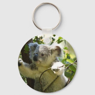 Koala cutie key ring
