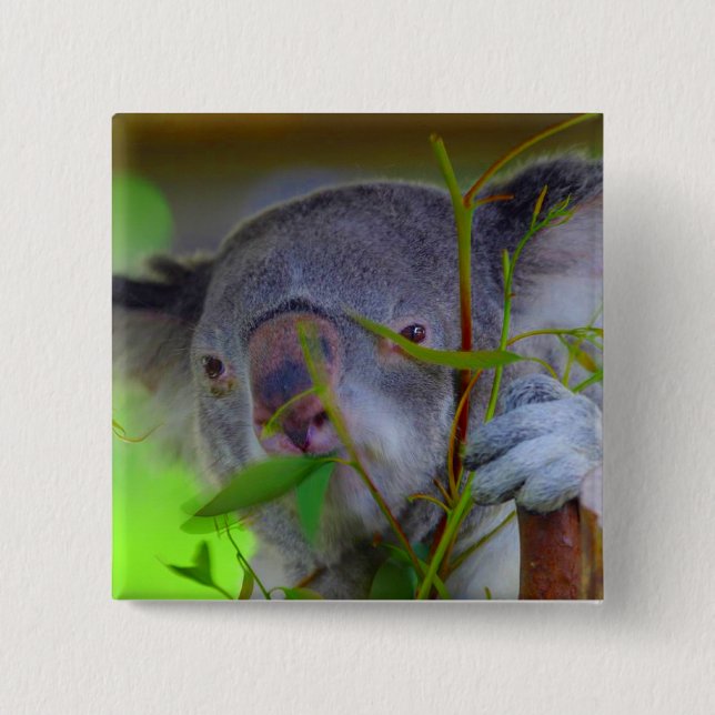 Koala Eating Pin (Front)