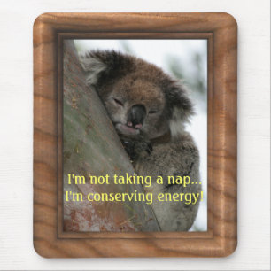 Koala - Energy Conservationist Extraordinaire! Mouse Pad