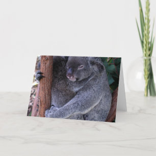 Koala Family Greeting Card