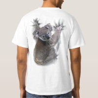 Koala Hang On Back Cute Bear Australia Animal