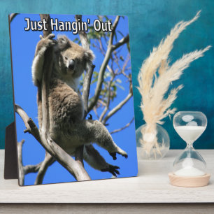 Koala Hanging Out in Australia Plaque