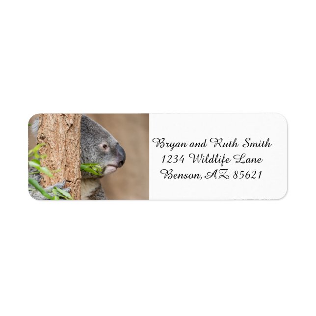 Koala Headshot Return Address Label (Front)