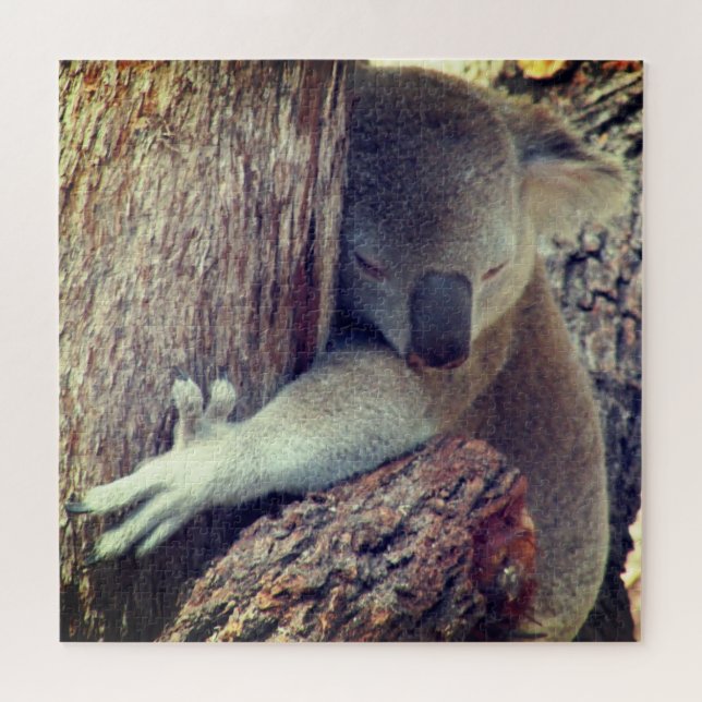 koala hugs jigsaw puzzle (Horizontal)