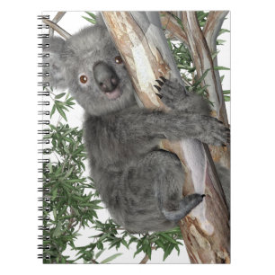 Koala in a Tree Notebook
