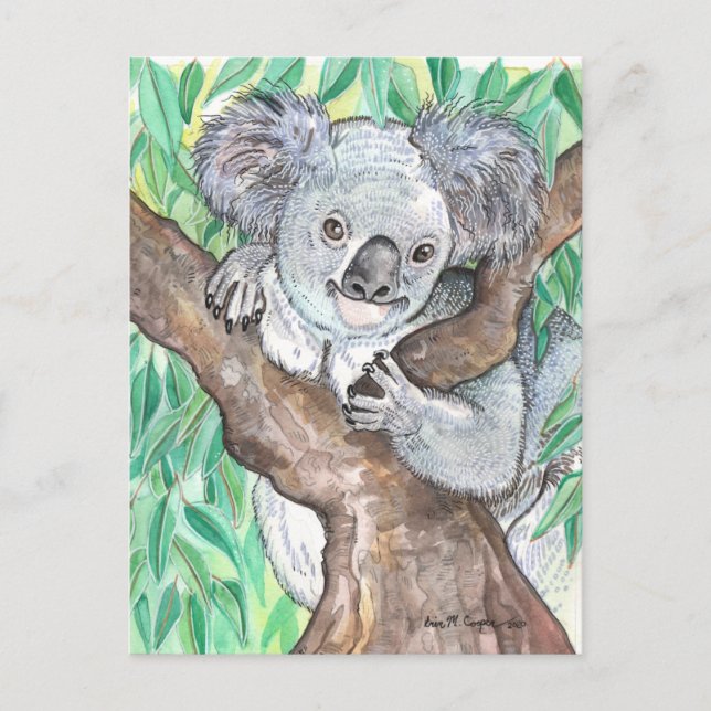 Koala in Eucalyptus Tree Painting Postcard (Front)