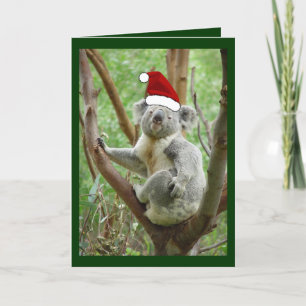 Koala in Santa Hat Photo Christmas Card
