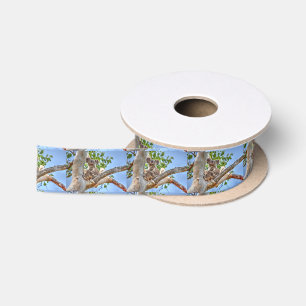 KOALA IN TREE AUSTRALIA ART EFFECTS SATIN RIBBON