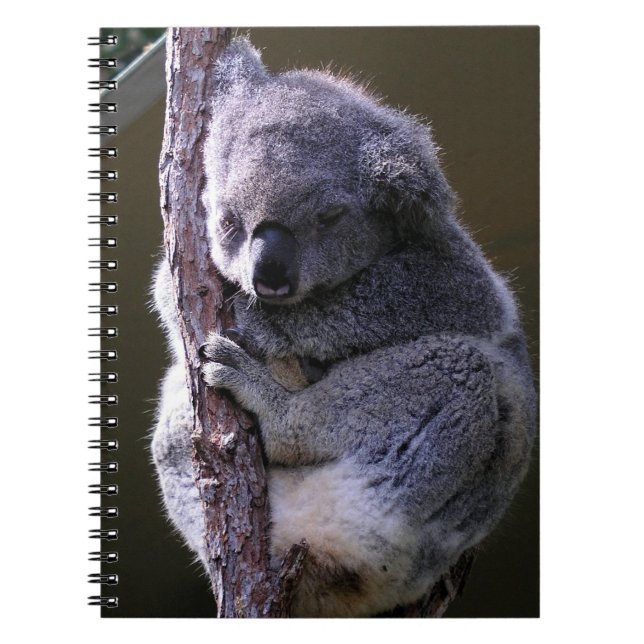 Koala in Tree Notebook (Front)
