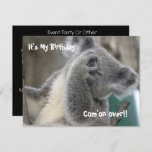 Koala Invite Birthday Party<br><div class="desc">Koala Invite Birthday Party Invitations,  Announcements</div>