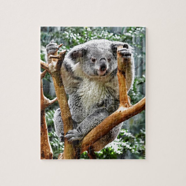 Koala Jigsaw Puzzle (Vertical)