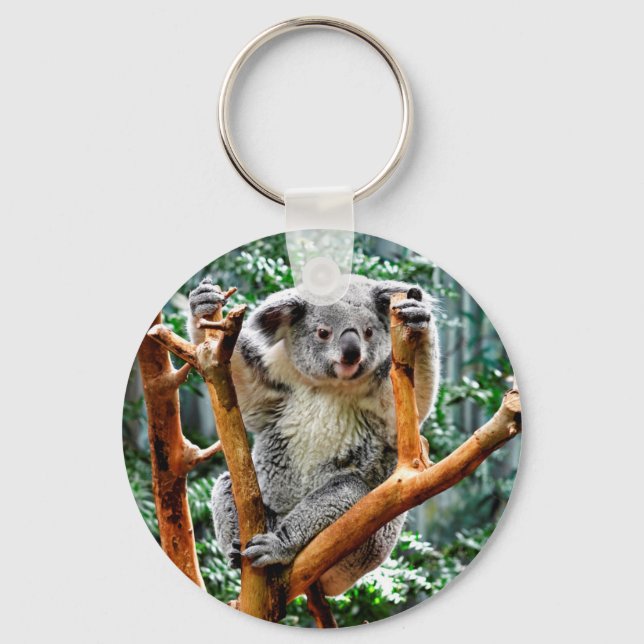 Koala Key Ring (Front)
