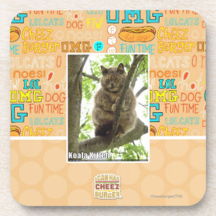 Koala Kitteh Coaster