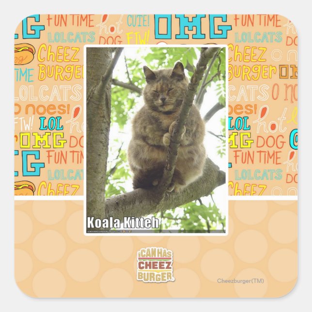 Koala Kitteh Square Sticker (Front)