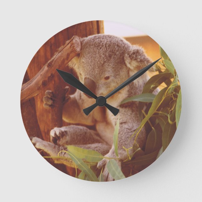 Koala love round clock (Front)
