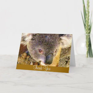 Koala Love_ Thank You Card