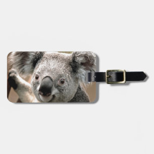 Koala Luggage Tag