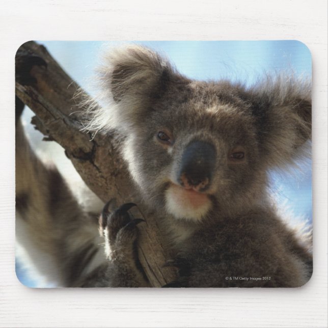 koala mouse pad (Front)
