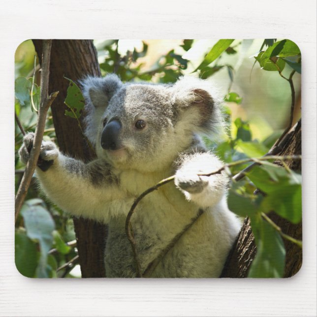 koala mouse pad (Front)