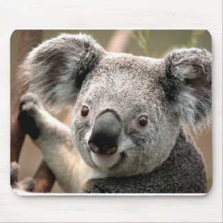 Koala Mouse Pad