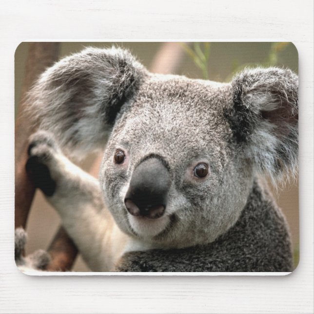 Koala Mouse Pad (Front)