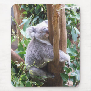 Koala Mousepad