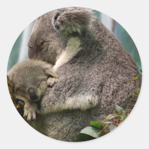 Koala Mum and New Baby Classic Round Sticker