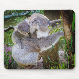 Koala mum son mouse pad