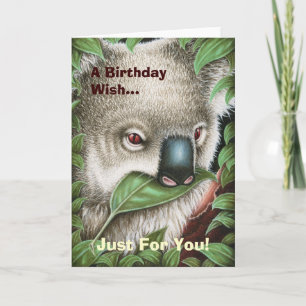 Koala Munching a Leaf Birthday Card