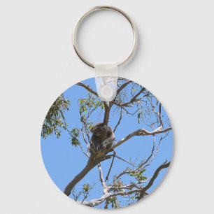 Koala Nap Key Ring