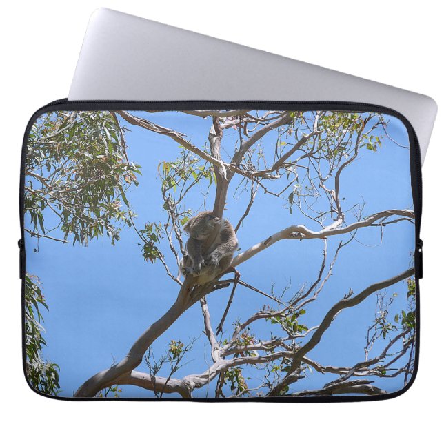 Koala Nap Laptop Sleeve (Front)