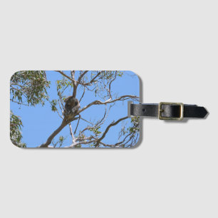 Koala Nap Luggage Tag