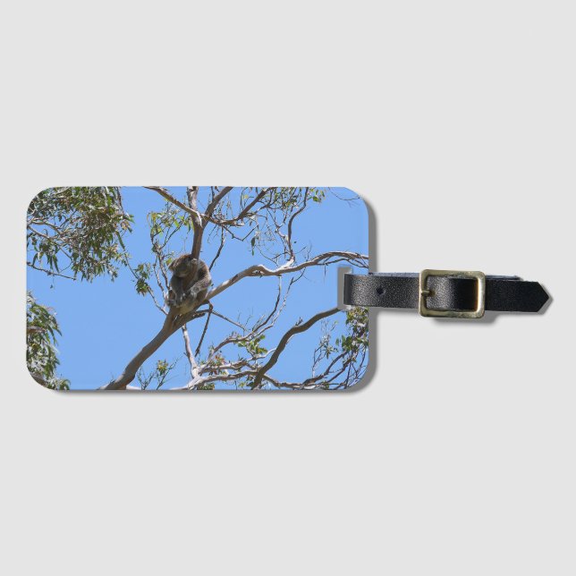 Koala Nap Luggage Tag (Front Horizontal)